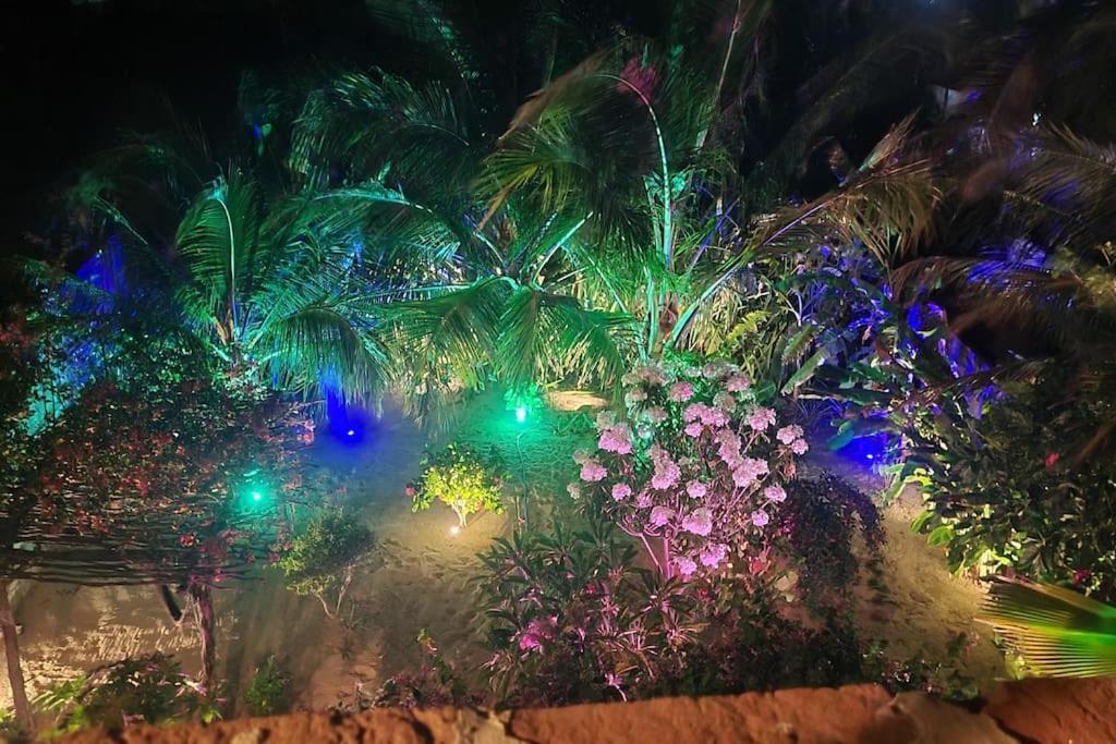 Apartamento Floreal Amontada ภายนอก รูปภาพ